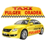 taxi fulger oradea android application logo